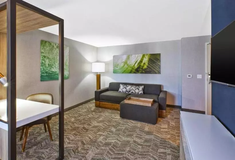 キングサイズベッドのスイートルーム, Springhill Suites By Marriott St. Joseph Benton Harbor