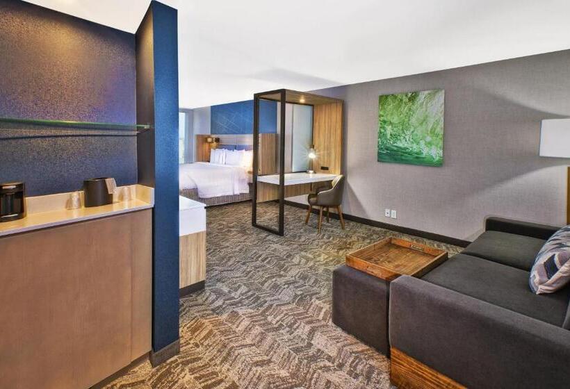 带大床的套房, Springhill Suites By Marriott St. Joseph Benton Harbor