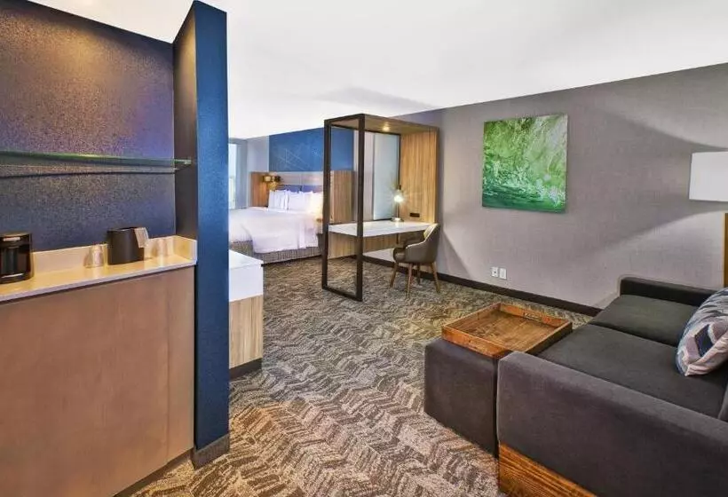 キングサイズベッドのスイートルーム, Springhill Suites By Marriott St. Joseph Benton Harbor