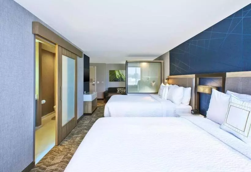 スタンダードルーム, Springhill Suites By Marriott St. Joseph Benton Harbor
