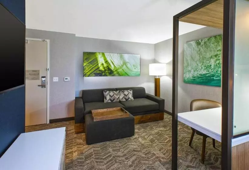 スタンダードルーム, Springhill Suites By Marriott St. Joseph Benton Harbor