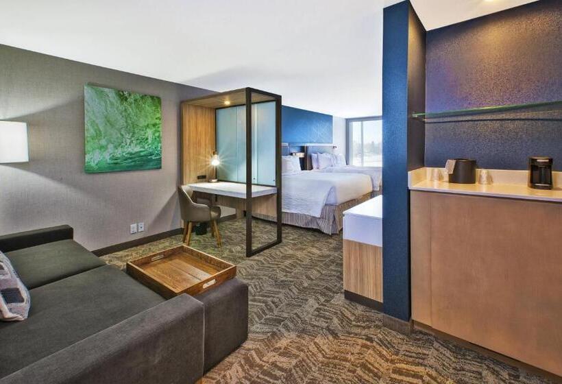 Номер Стандарт, Springhill Suites By Marriott St. Joseph Benton Harbor