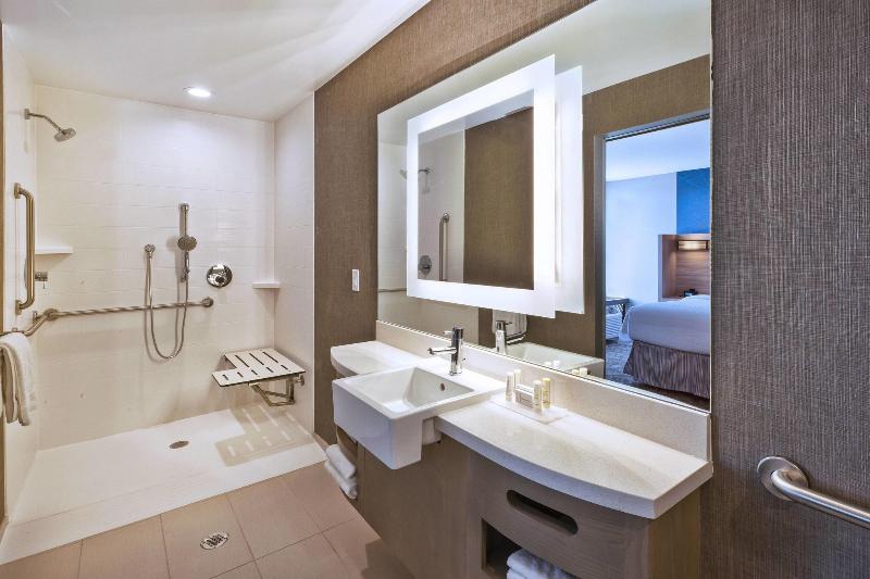 带大床的套房, Springhill Suites By Marriott St. Joseph Benton Harbor