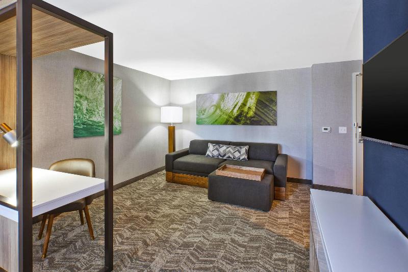 Люкс Кровать Кинг, Springhill Suites By Marriott St. Joseph Benton Harbor