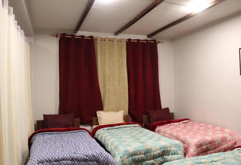 سرير فى غرفة مشتركه, Kyelang Times