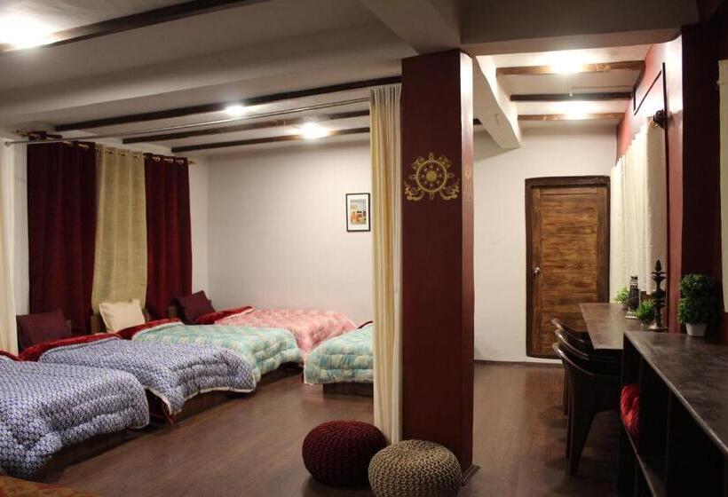 سرير فى غرفة مشتركه, Kyelang Times