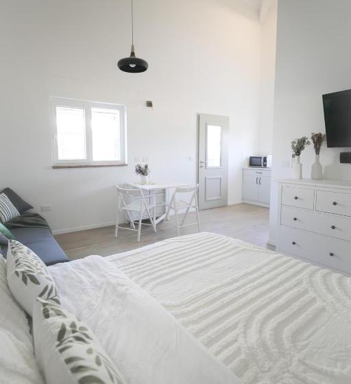 スタンダードルーム, גל בהר