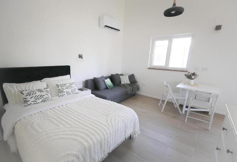 スタンダードルーム, גל בהר