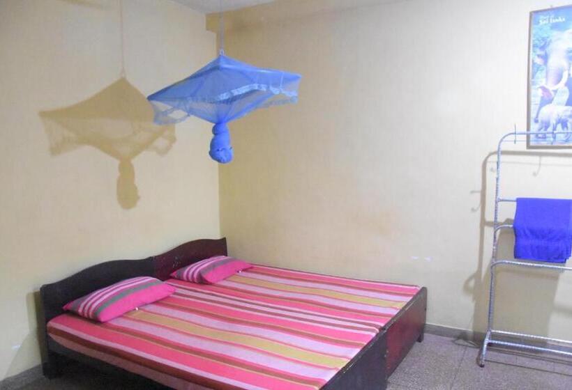 חדר בסיסי לשלושה, Lion Guest Anuradhapura