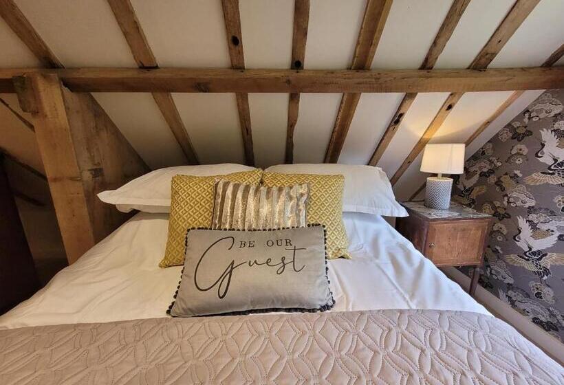 Camera Deluxe, The Manor Pen