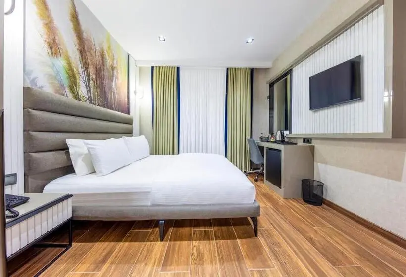 اتاق استاندارد یک نفره, Dem Premium Hotel   Round Trip Airport Service   Istanbul International Airport