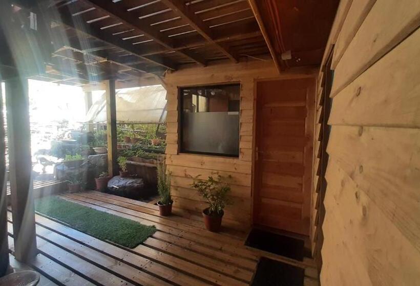 غرفة قياسية, Hostal Crisol