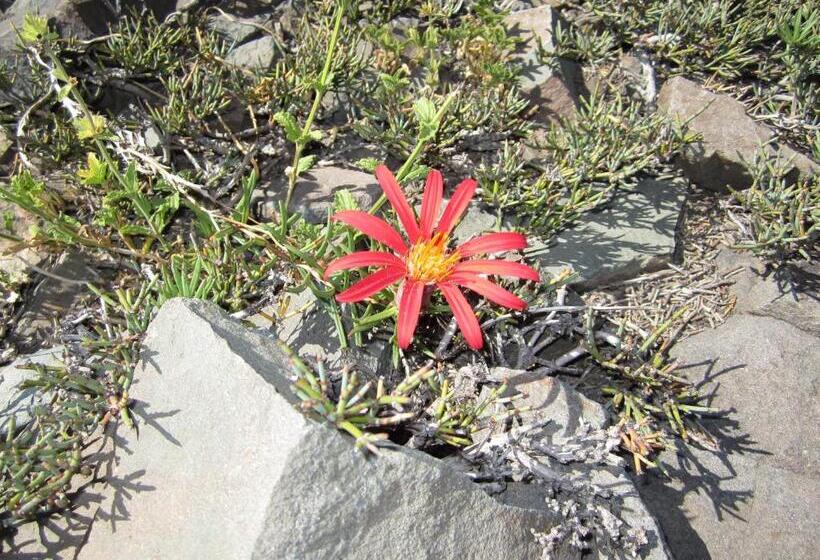 غرفة عائلية, Hostal Crisol