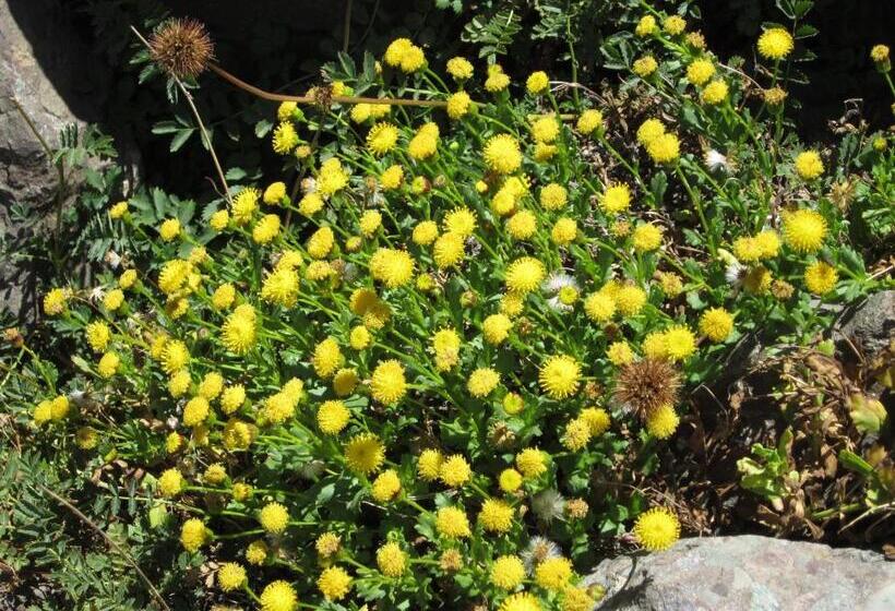 غرفة عائلية, Hostal Crisol