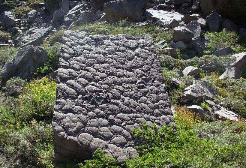 غرفة عائلية, Hostal Crisol