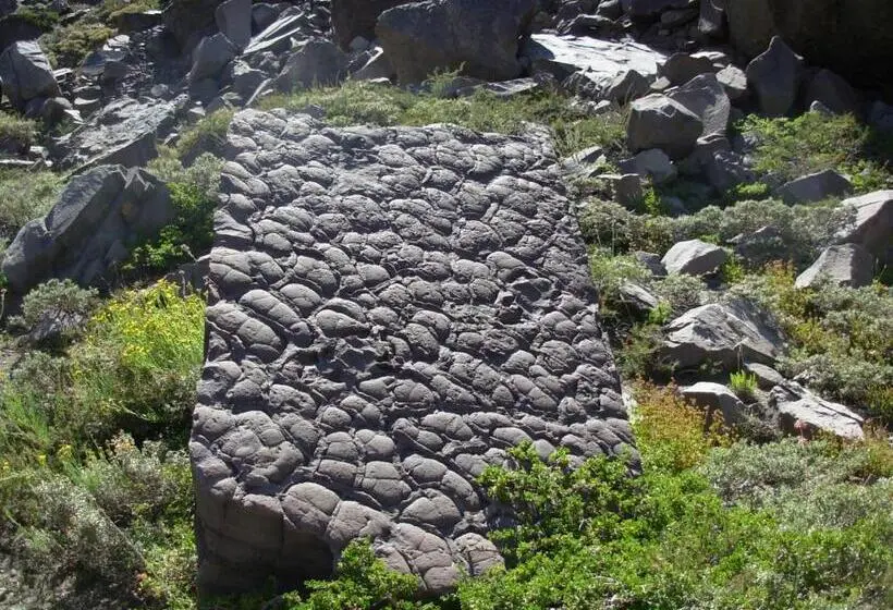 اتاق خانوادگی, Hostal Crisol