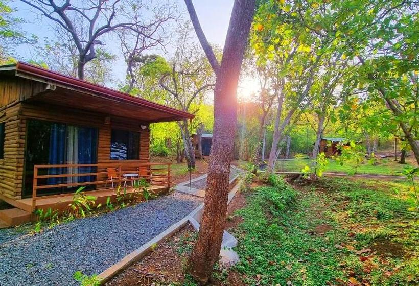 Четырехместный Номер Стандарт Вид на Сад, Hacienda Angeles