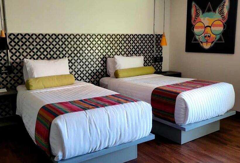 اتاق استاندارد, Estancias Vive Mx Cuauhtémoc