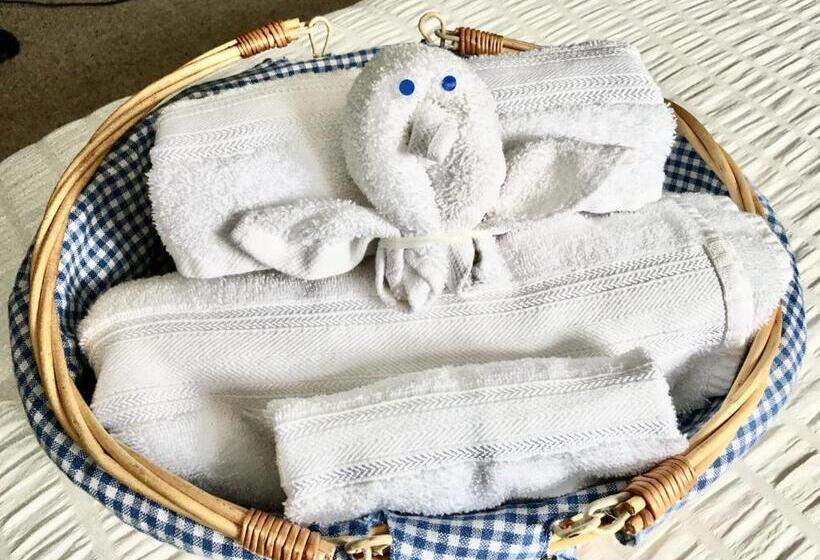 디럭스 스튜디오, Contemporary Studio