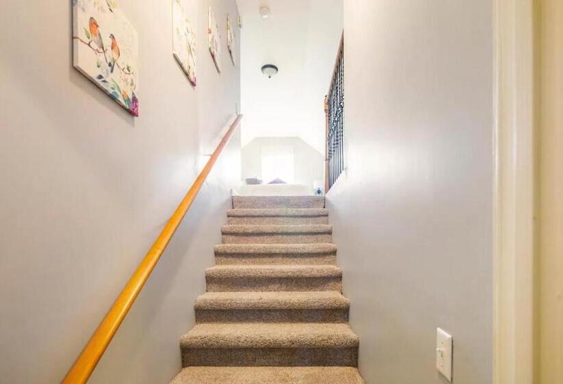 디럭스 스튜디오, Contemporary Studio