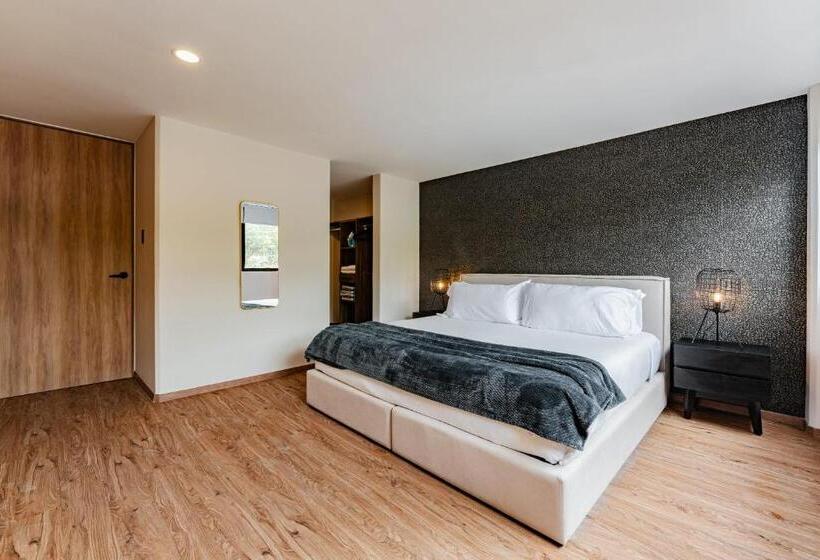 آپارتمان 1 خوابه با تراس, Sonora 11 Apartments By Vh