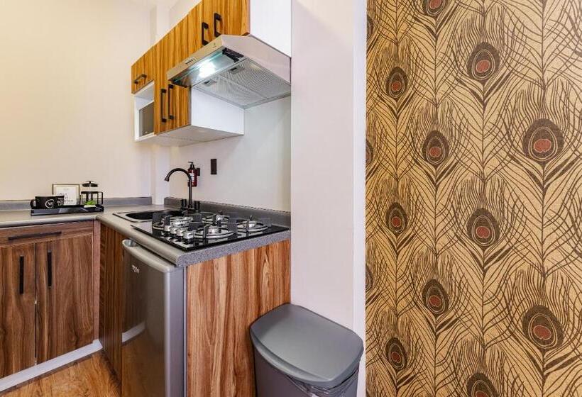 آپارتمان 1 خوابه همکف, Sonora 11 Apartments By Vh