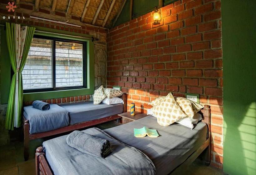 חדר סופריור לארבעה, Zostel Hampi