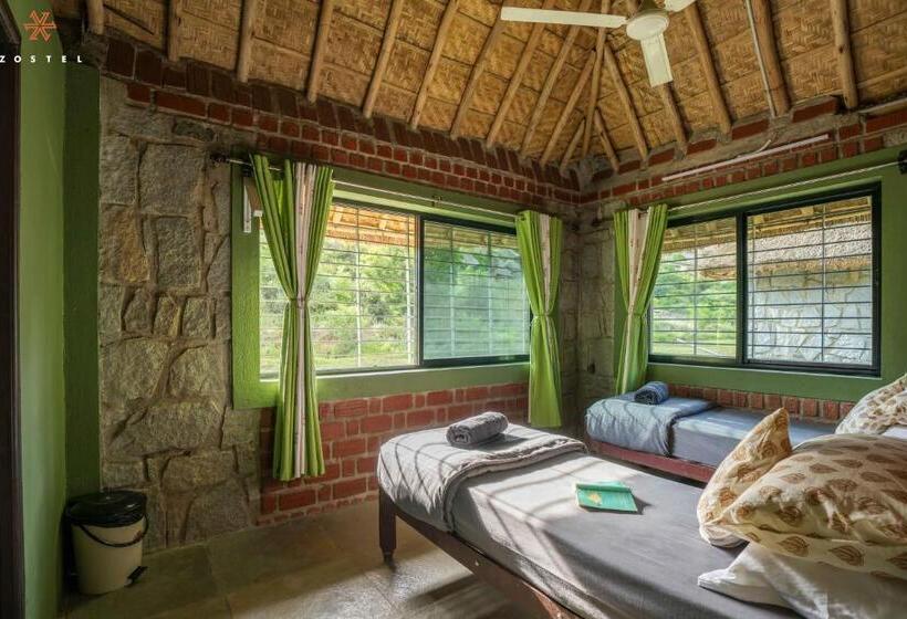 חדר סופריור לארבעה, Zostel Hampi