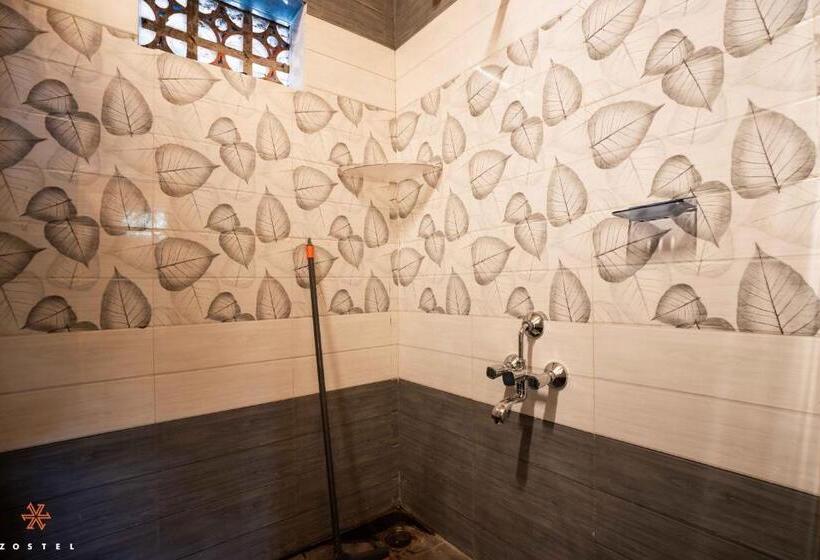 מיטה בחדר משותף, Zostel Hampi