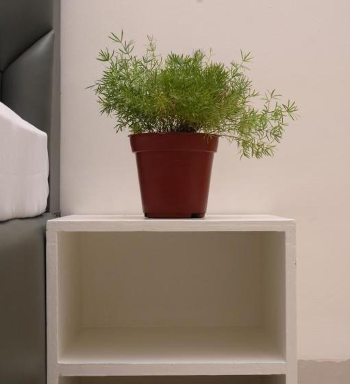 غرفة سوبيريور, Patiala Inn