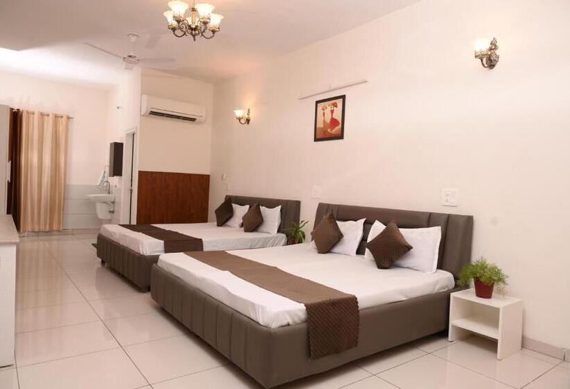 غرفة سوبيريور سرير كينج, Patiala Inn