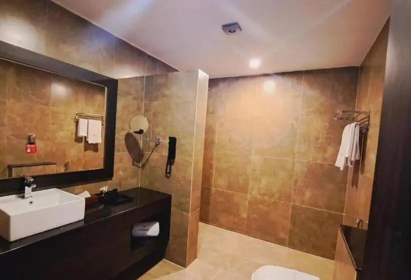 プレミアムルーム, Viceroy Luxury Mountain Resort And Spa