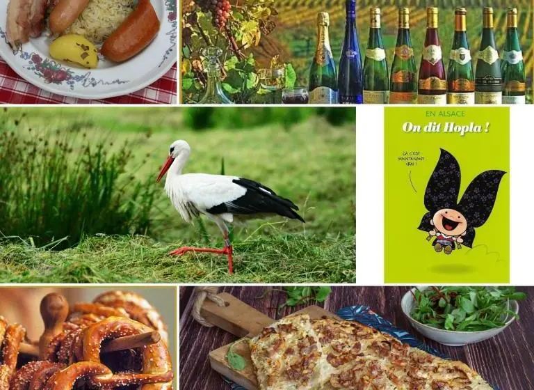1ベッドルームハウス, Les Pinots D Alsace 3 Bungalows Climatisés Avec Tv Proche Europa Park