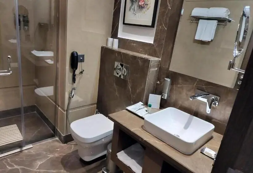 プレジデントスイートルーム, Fortune Park Aligarh Member Itc S Hotel Group