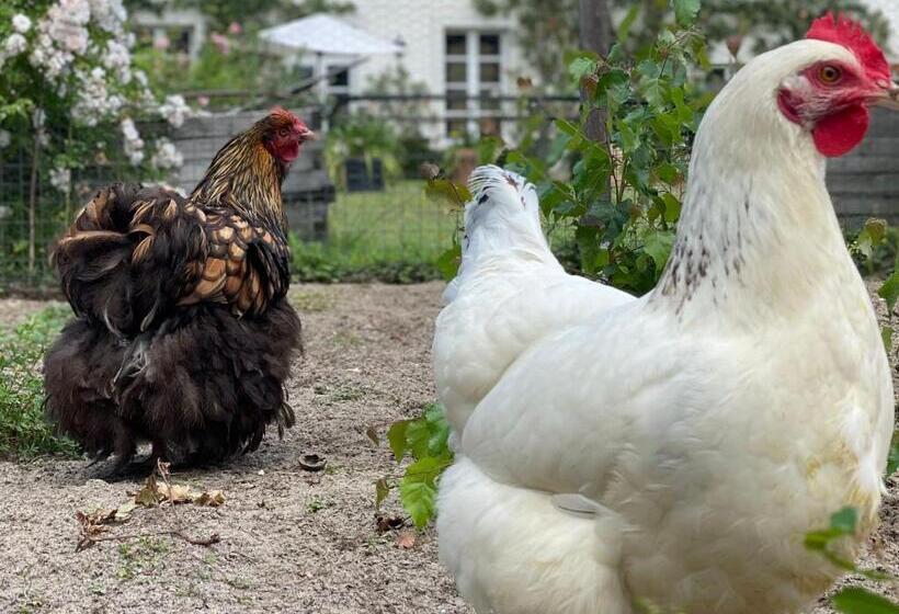 חדר משפחתי, élégante Suite Familiale Au Cœur De La Forêt De Montargis, à 1h30 De Paris   Fr 1 590 342