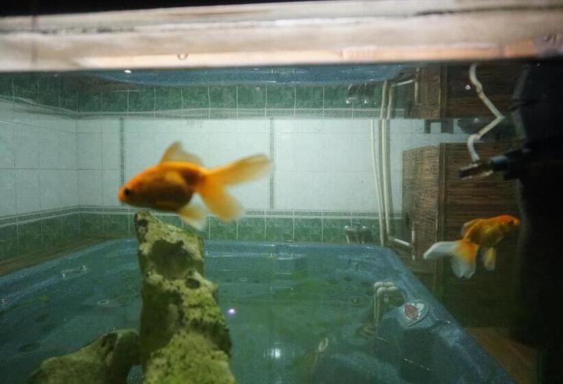 اتاق راحتی سه تخته, готель сауна водопад