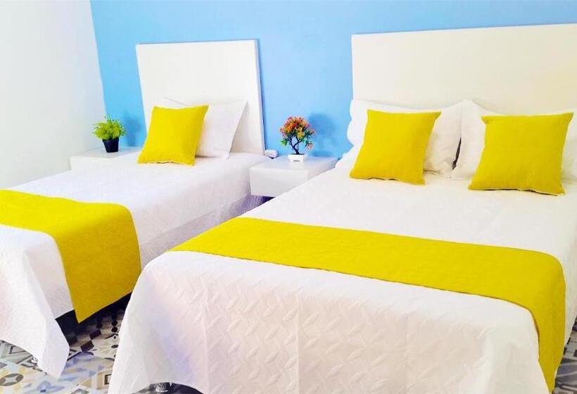 스탠다드 트리플 룸, Believer Hostel