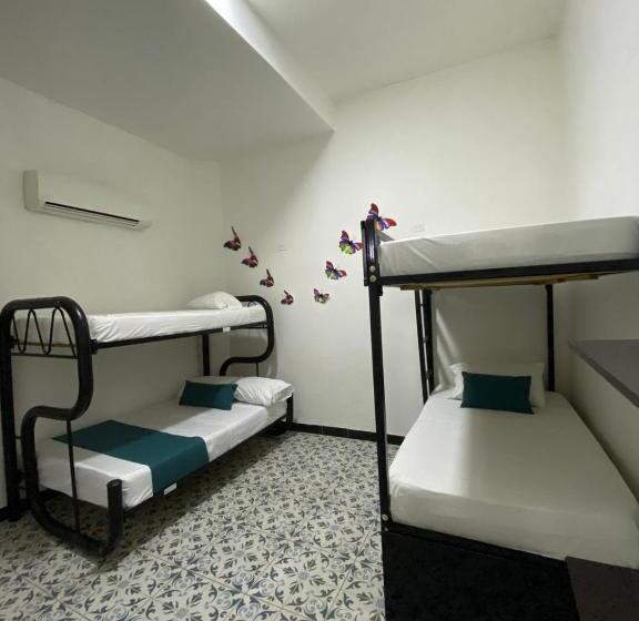 浴室共有スタンダード４人用ルーム, Believer Hostel