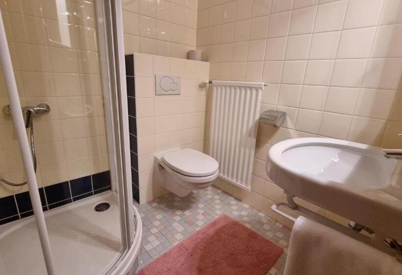 غرفة قياسية, Pension Hattinger