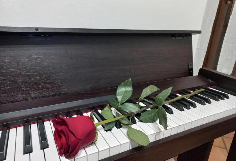 标准间, B&b Rose Osimo