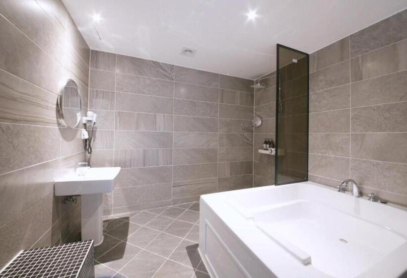 デラックスルーム, Gimhae Jangyu Stayin