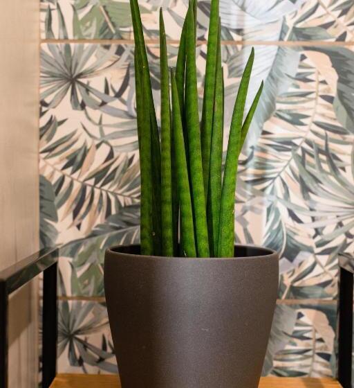 标准单人间, Guest House Al Viale