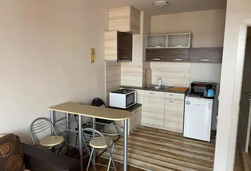 １ベッドルームアパートメント, Apartment Diamond Sarafovo