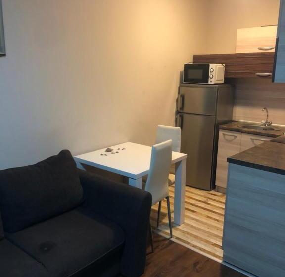 １ベッドルームアパートメント, Apartment Diamond Sarafovo