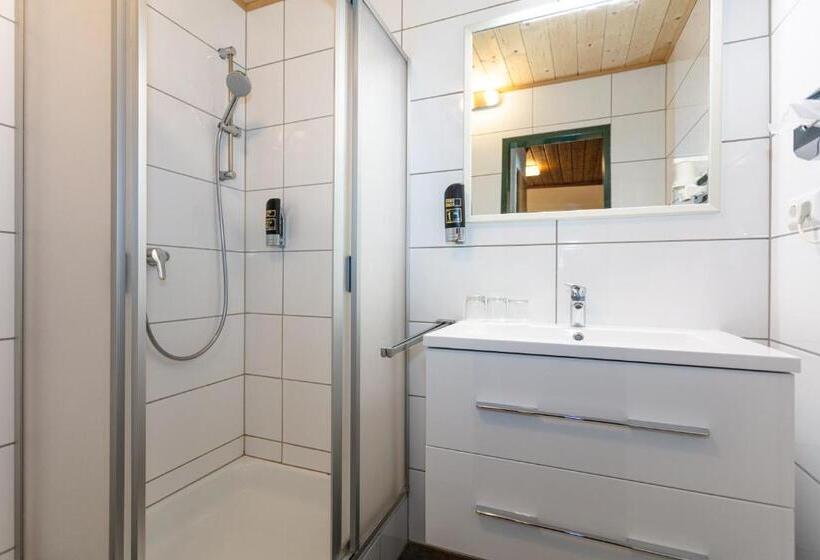 Апартаменты 1 Спальня с Балконом, Landhaus Lungau