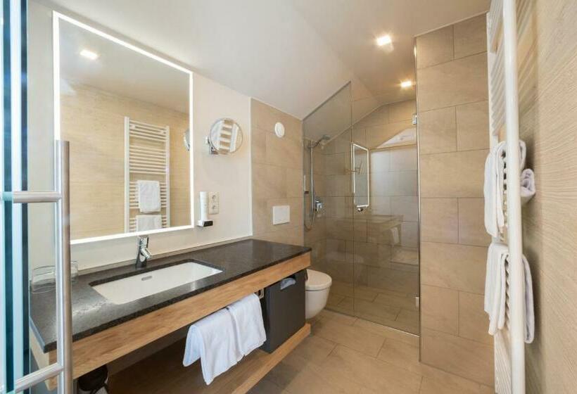 Номер Стандарт Индивидуальный, Restaurant Allmer