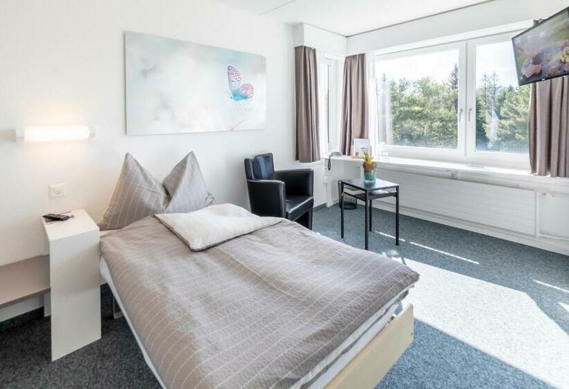 Номер Стандарт Индивидуальный, Allegro Einsiedeln