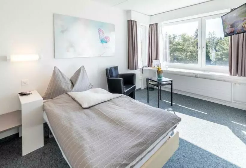 Standard Yhden Hengen Huone, Allegro Einsiedeln