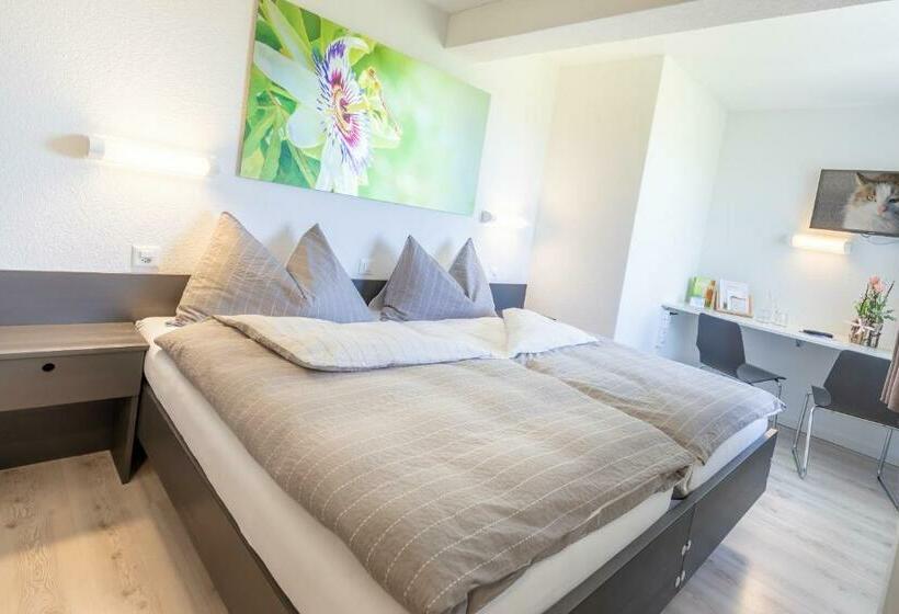 غرفة قياسية, Allegro Einsiedeln