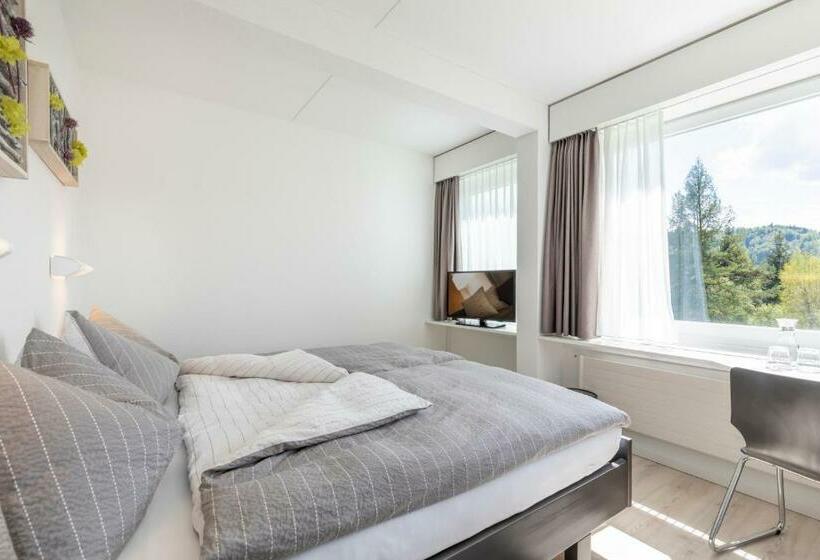 غرفة قياسية, Allegro Einsiedeln